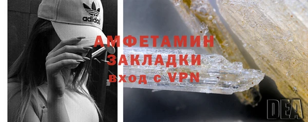 индика Гусиноозёрск