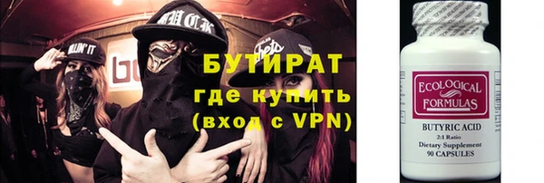 индика Гусиноозёрск