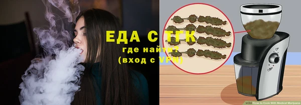 индика Гусиноозёрск