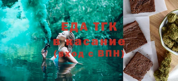 индика Гусиноозёрск