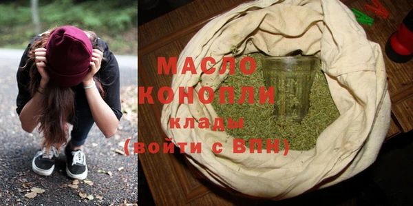 индика Гусиноозёрск