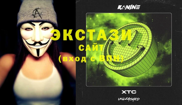 индика Гусиноозёрск