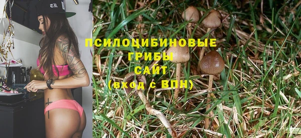 метамфетамин Гусев