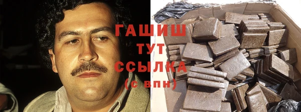 индика Гусиноозёрск