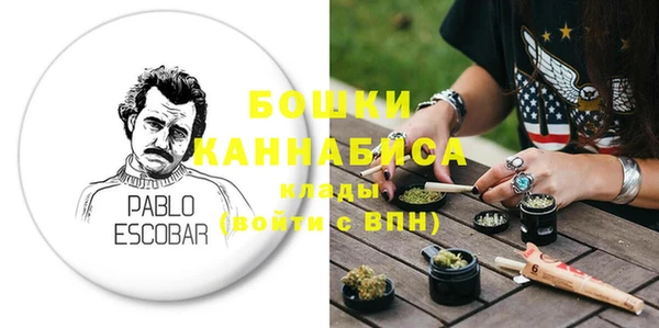 индика Гусиноозёрск