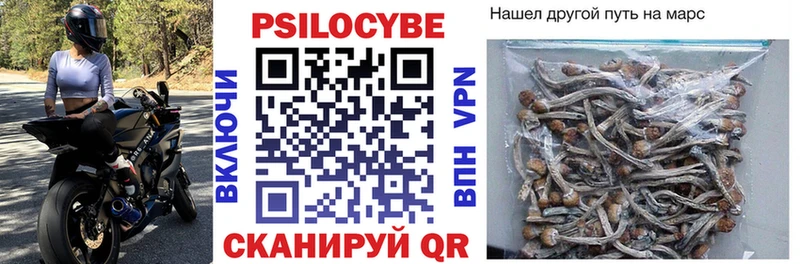 Псилоцибиновые грибы Magic Shrooms  Мариинский Посад 